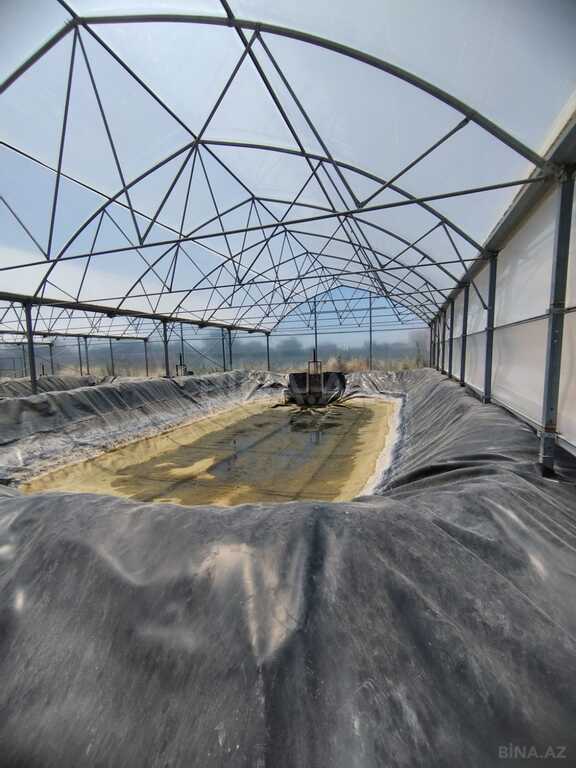 Obyekt - Türkan q. - 10000 m² (1)