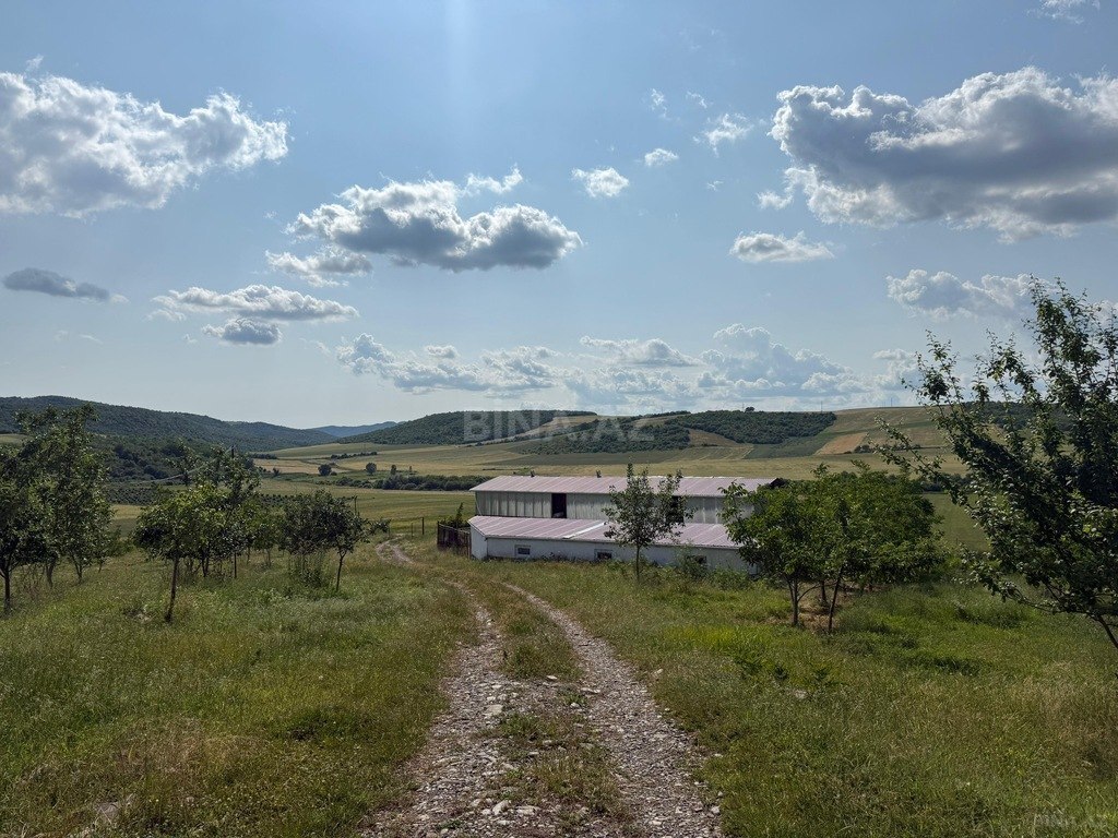 Участок - Исмаиллы - 2000 сот (25)