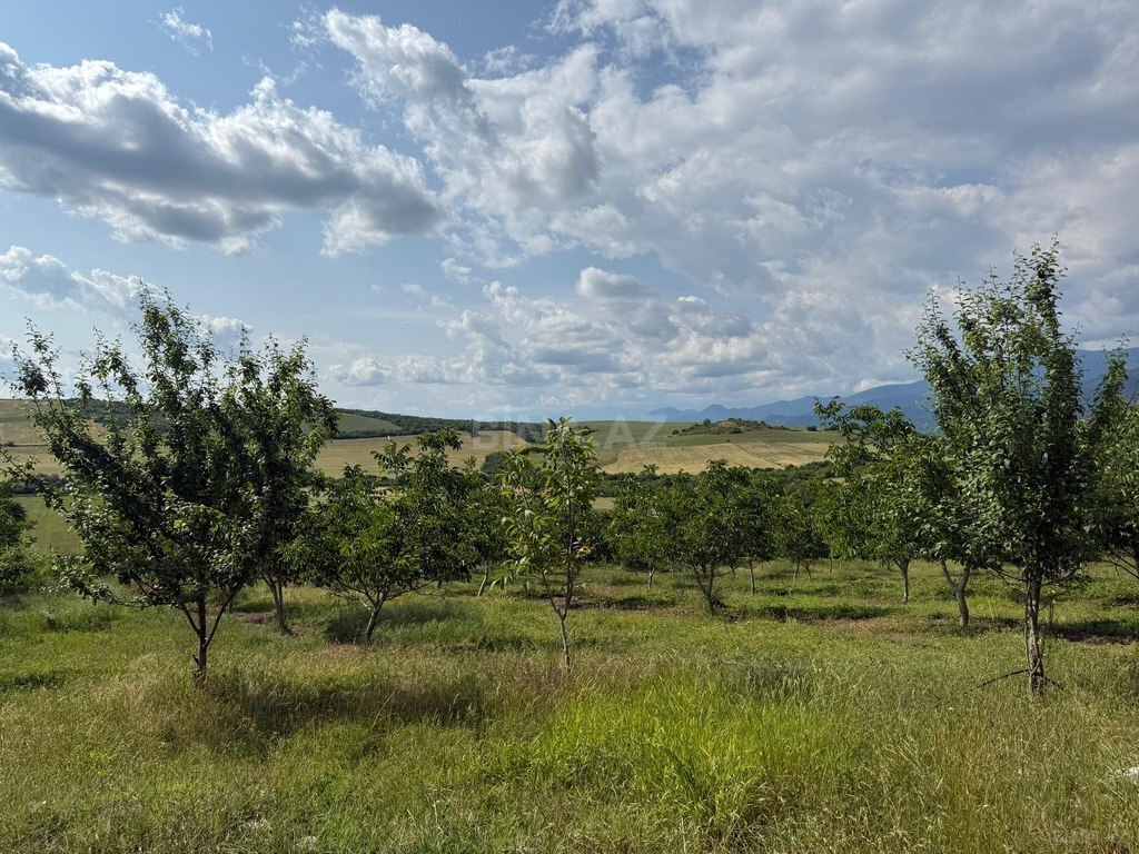 Участок - Исмаиллы - 2000 сот (26)