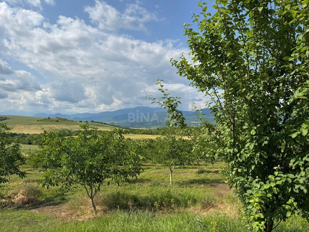 Участок - Исмаиллы - 2000 сот (14)
