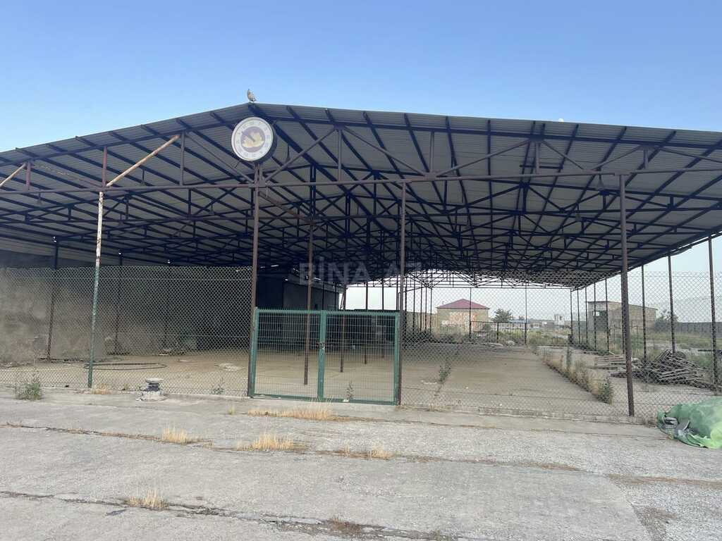 Obyekt - Qala q. - 870 m² (6)