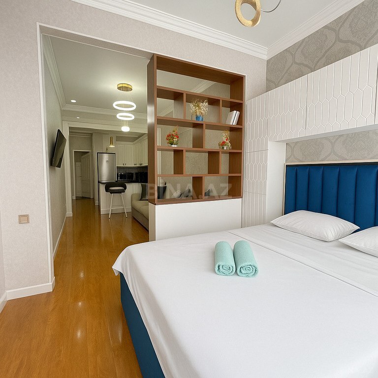1 otaqlı yeni tikili - 28 May m. - 50 m² (13)