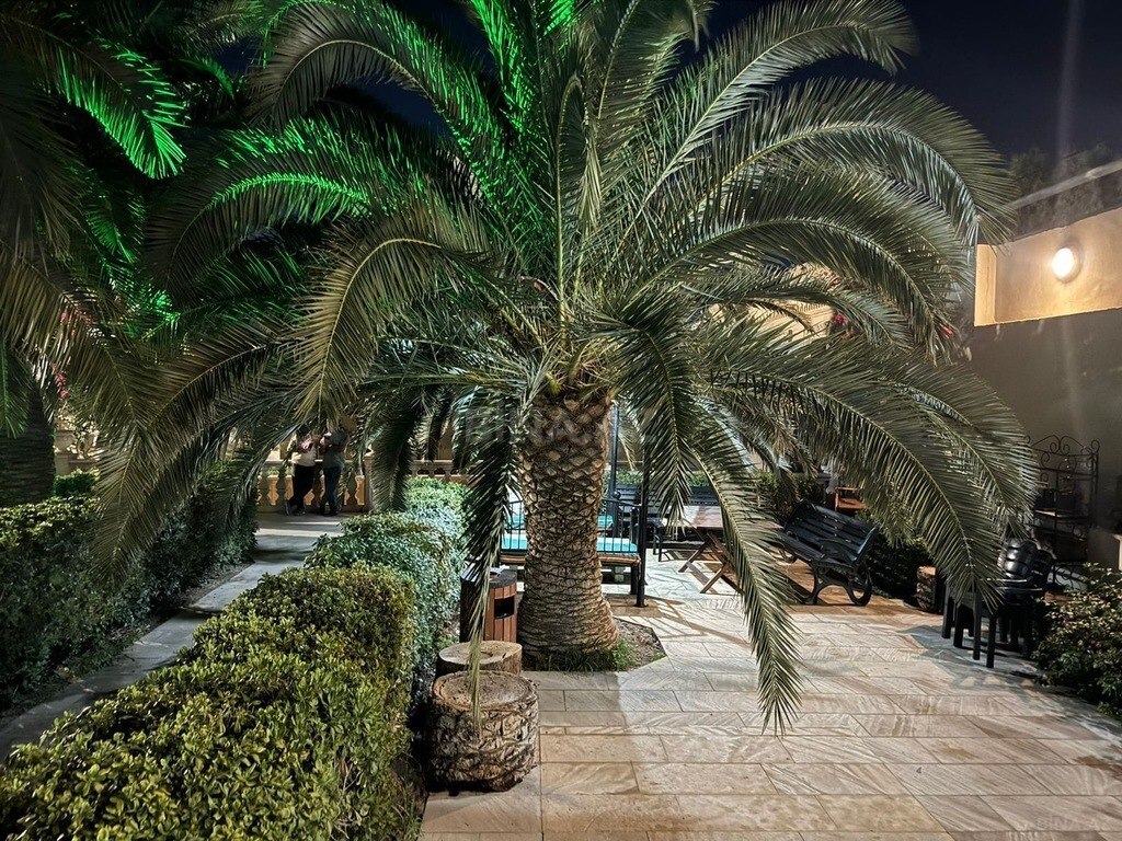 8 otaqlı həyət evi/bağ evi - Buzovna q. - 700 m² (3)