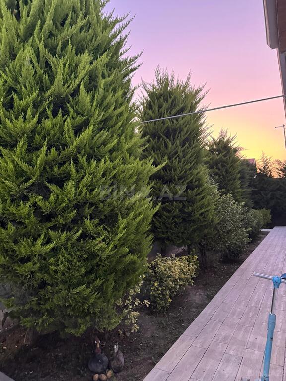 4 otaqlı həyət evi/bağ evi - Mərdəkan q. - 220 m² (9)