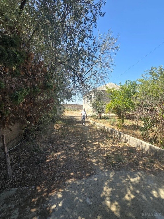 3 otaqlı həyət evi/bağ evi - Binə q. - 100 m² (3)