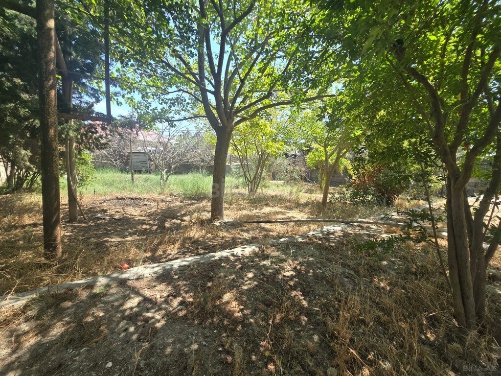3 otaqlı həyət evi/bağ evi - Binə q. - 100 m² (2)