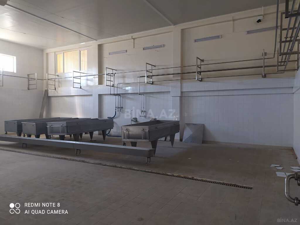 Obyekt - Zaqatala - 3446.6 m² (5)