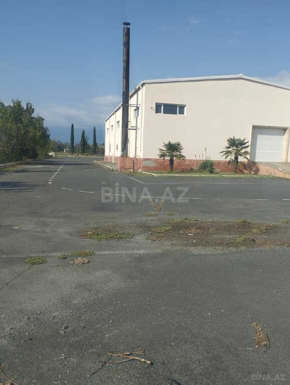 Obyekt - Zaqatala - 3446.6 m² (22)
