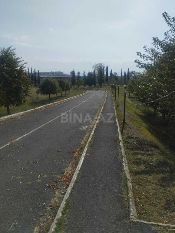 Obyekt - Zaqatala - 3446.6 m² (26)