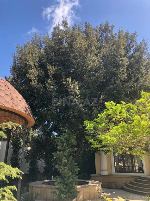Həyət evi/Bağ evi - Sabunçu r. - 420 m² (15)