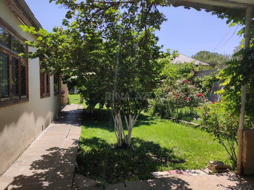5 otaqlı həyət evi/bağ evi - Şamaxı - 120 m² (8)
