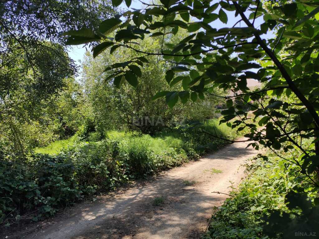 5 otaqlı həyət evi/bağ evi - Şamaxı - 120 m² (6)