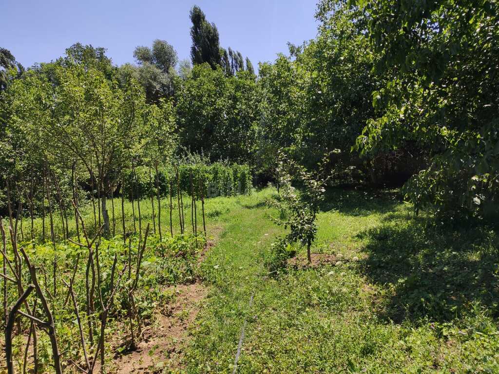 5 otaqlı həyət evi/bağ evi - Şamaxı - 120 m² (10)