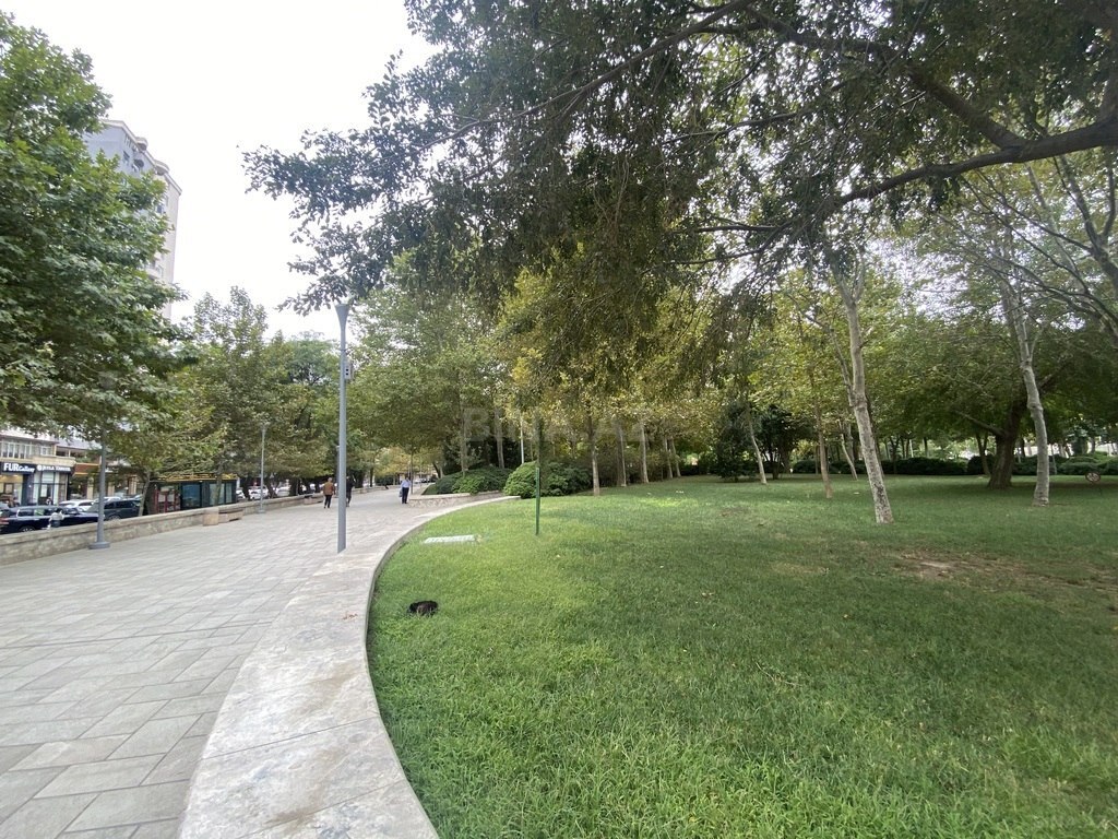 4 otaqlı yeni tikili - Nərimanov r. - 197 m² (18)