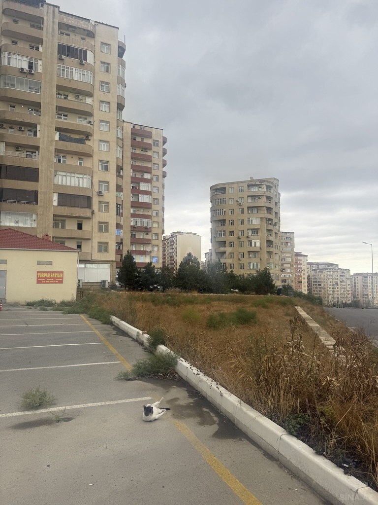 Torpaq - Yeni Yasamal q. - 8 sot (6)