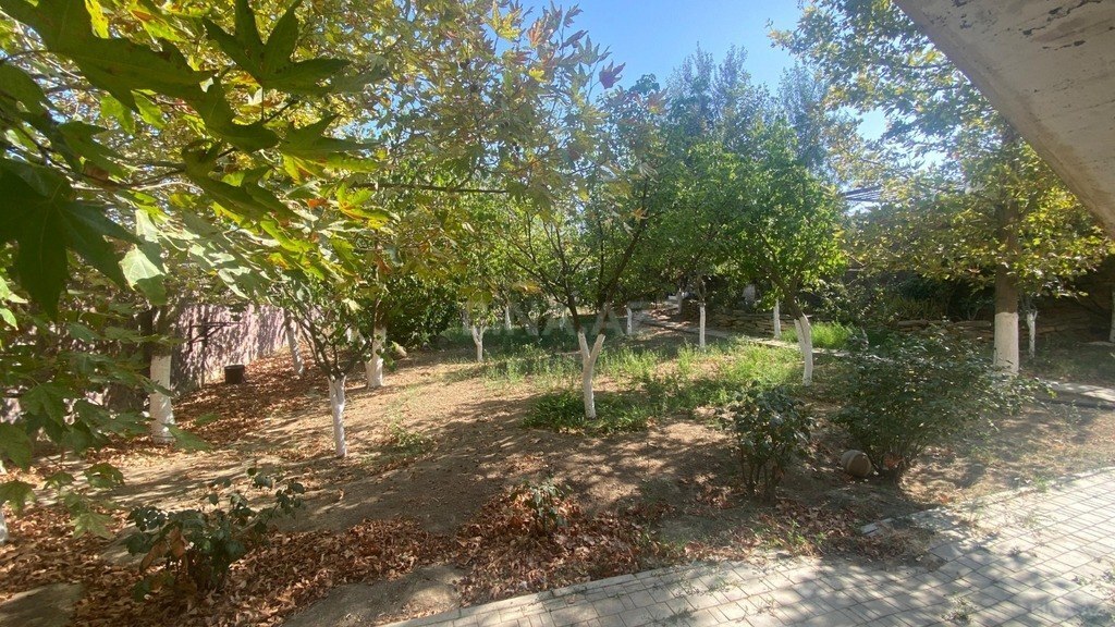 6-комн. дом/дача - пос. Бадамдар - 600 м² (7)