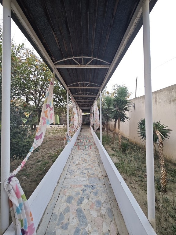 Obyekt - Qaraçuxur q. - 415 m² (6)