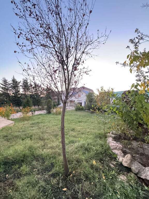 4 otaqlı həyət evi/bağ evi - Mərdəkan q. - 250 m² (8)