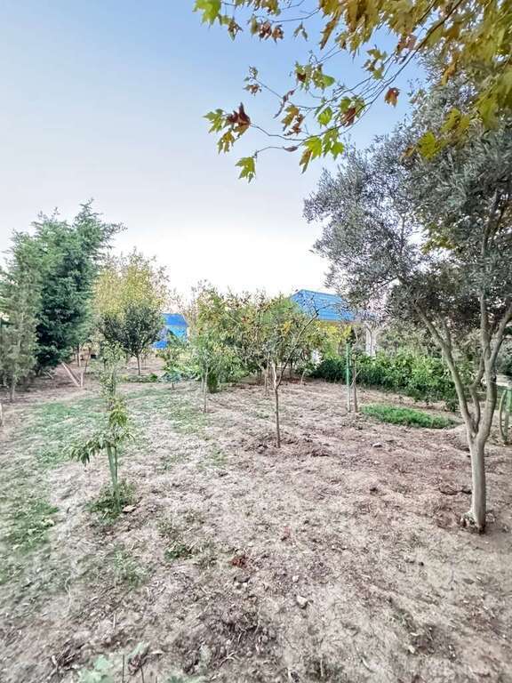 4 otaqlı həyət evi/bağ evi - Mərdəkan q. - 250 m² (9)