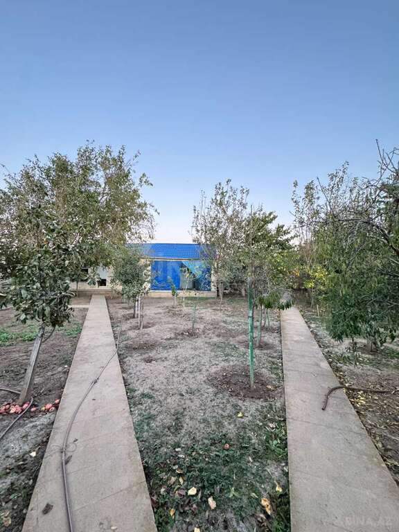 4 otaqlı həyət evi/bağ evi - Mərdəkan q. - 250 m² (16)