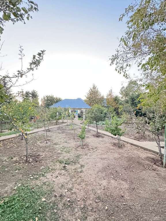 4 otaqlı həyət evi/bağ evi - Mərdəkan q. - 250 m² (13)