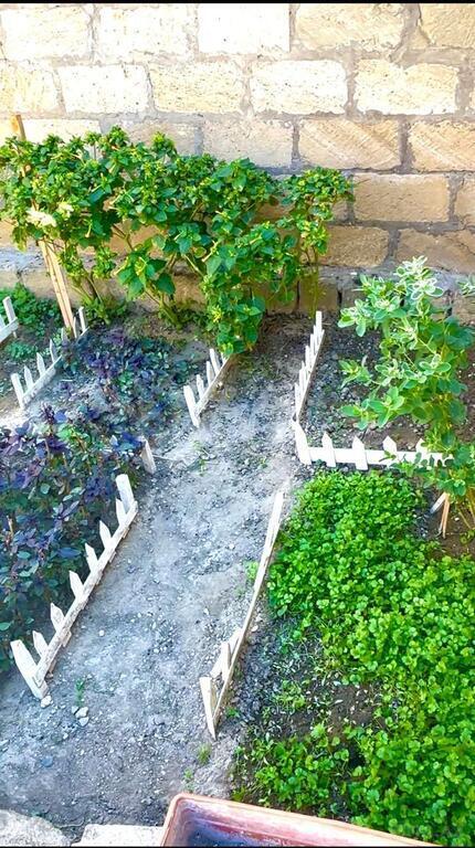 5 otaqlı həyət evi/bağ evi - Yeni Yasamal q. - 200 m² (4)