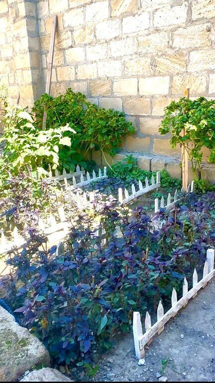 5 otaqlı həyət evi/bağ evi - Yeni Yasamal q. - 200 m² (5)