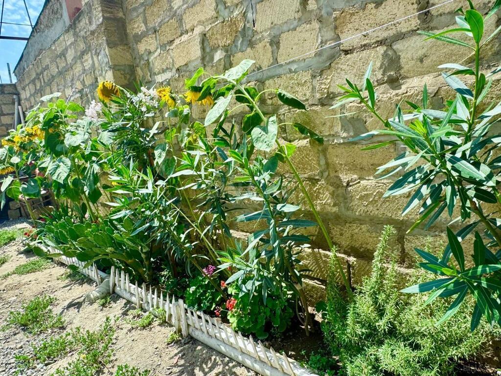 5 otaqlı həyət evi/bağ evi - Yeni Yasamal q. - 200 m² (3)