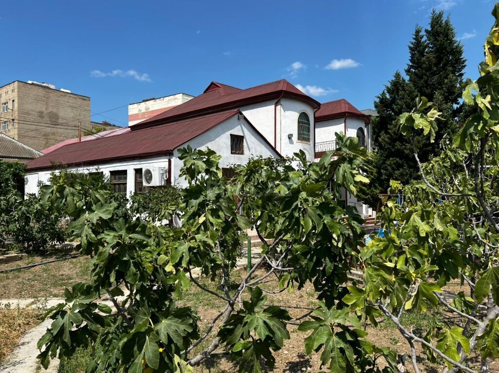 6 otaqlı həyət evi/bağ evi - Zığ q. - 300 m² (2)