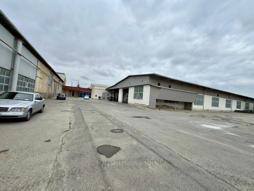Объект - пос. Бинагади - 800 м² (4)