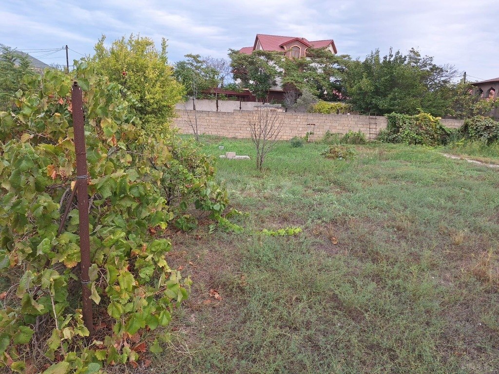 5 otaqlı həyət evi/bağ evi - Novxanı q. - 290 m² (21)