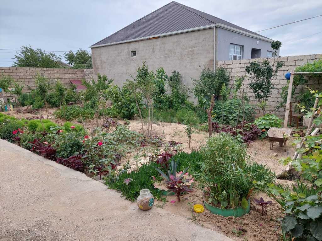 5 otaqlı həyət evi/bağ evi - Ramana q. - 220 m² (4)