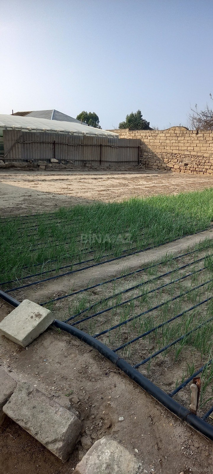 4 otaqlı həyət evi/bağ evi - Bilgəh q. - 100 m² (4)