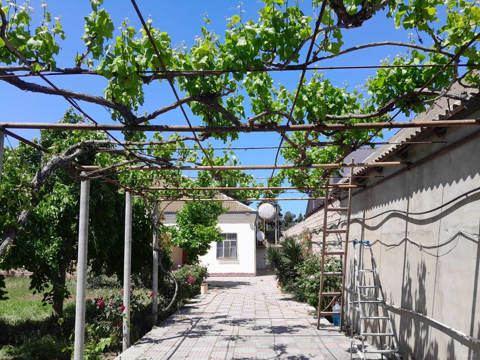 4 otaqlı həyət evi/bağ evi - Şüvəlan q. - 155 m² (3)