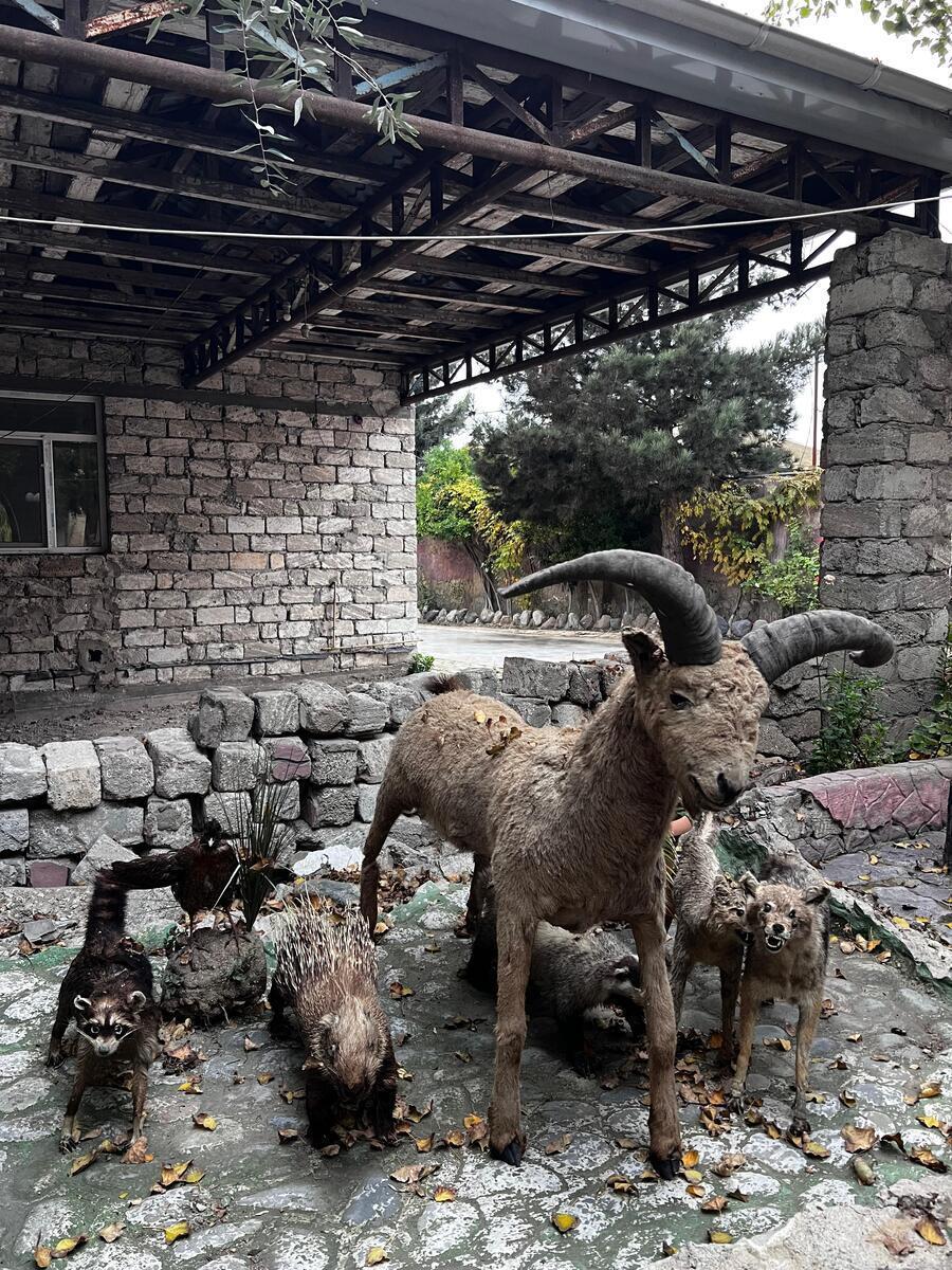 5 otaqlı həyət evi/bağ evi - Bilgəh q. - 400 m² (21)