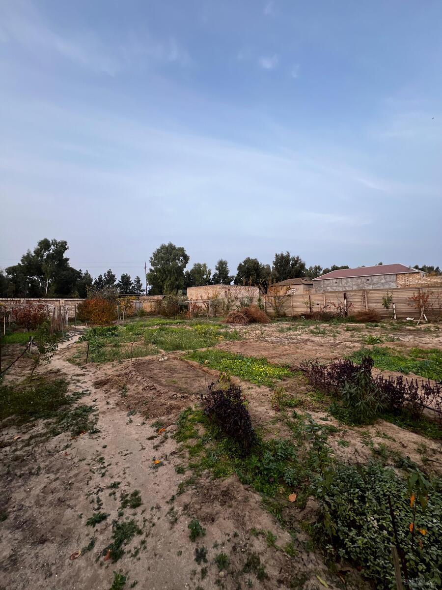 5 otaqlı həyət evi/bağ evi - Bilgəh q. - 400 m² (26)
