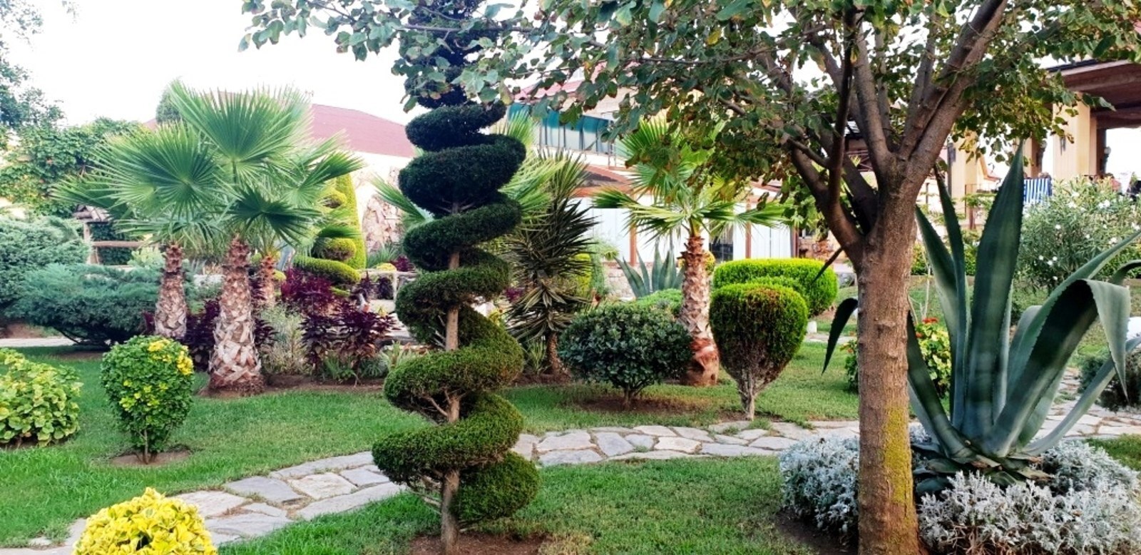 5 otaqlı həyət evi/bağ evi - Mərdəkan q. - 400 m² (26)