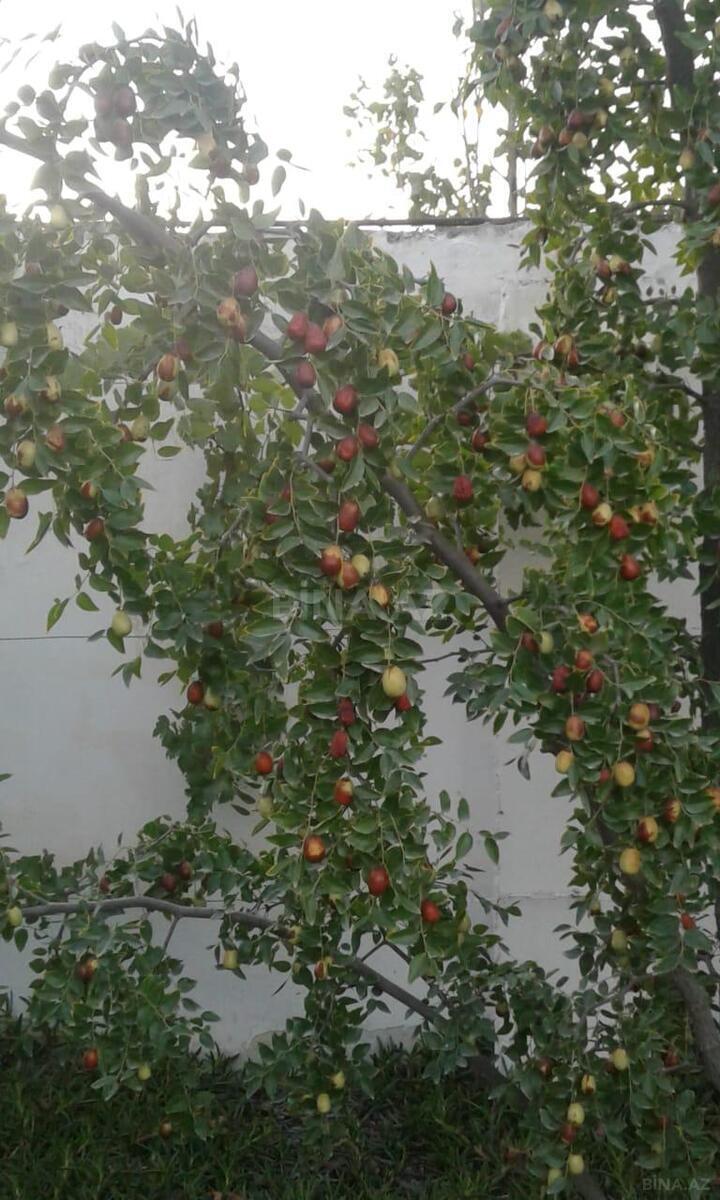 5 otaqlı həyət evi/bağ evi - Nardaran q. - 200 m² (5)