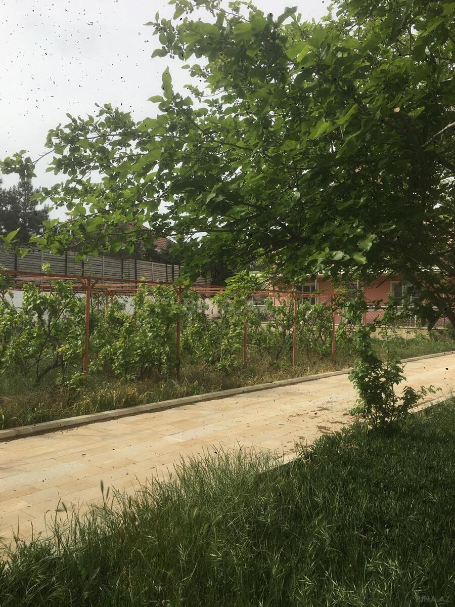 5 otaqlı həyət evi/bağ evi - Nardaran q. - 200 m² (6)