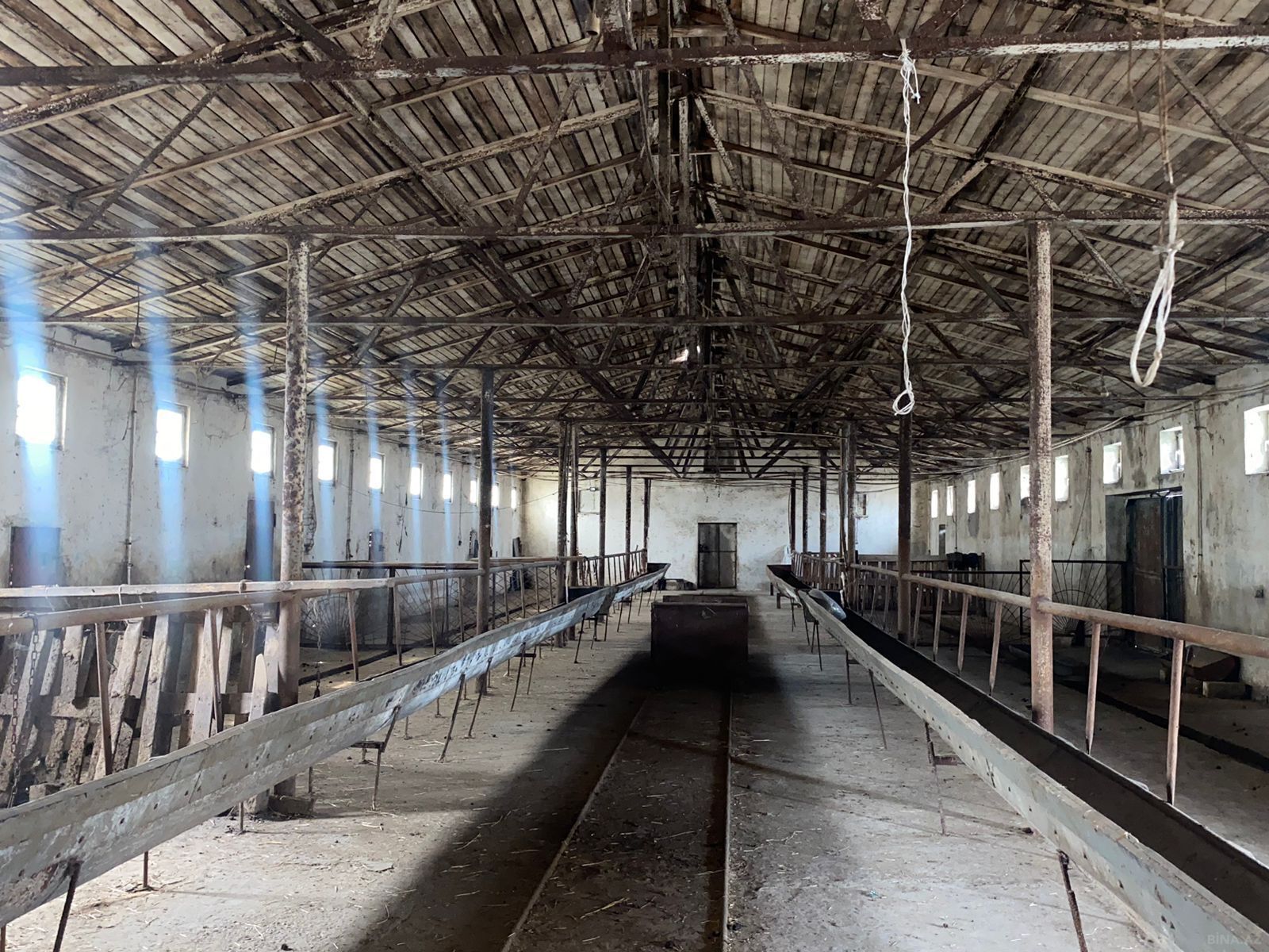 Obyekt - Pirəkəşkül q. - 3000 m² (5)