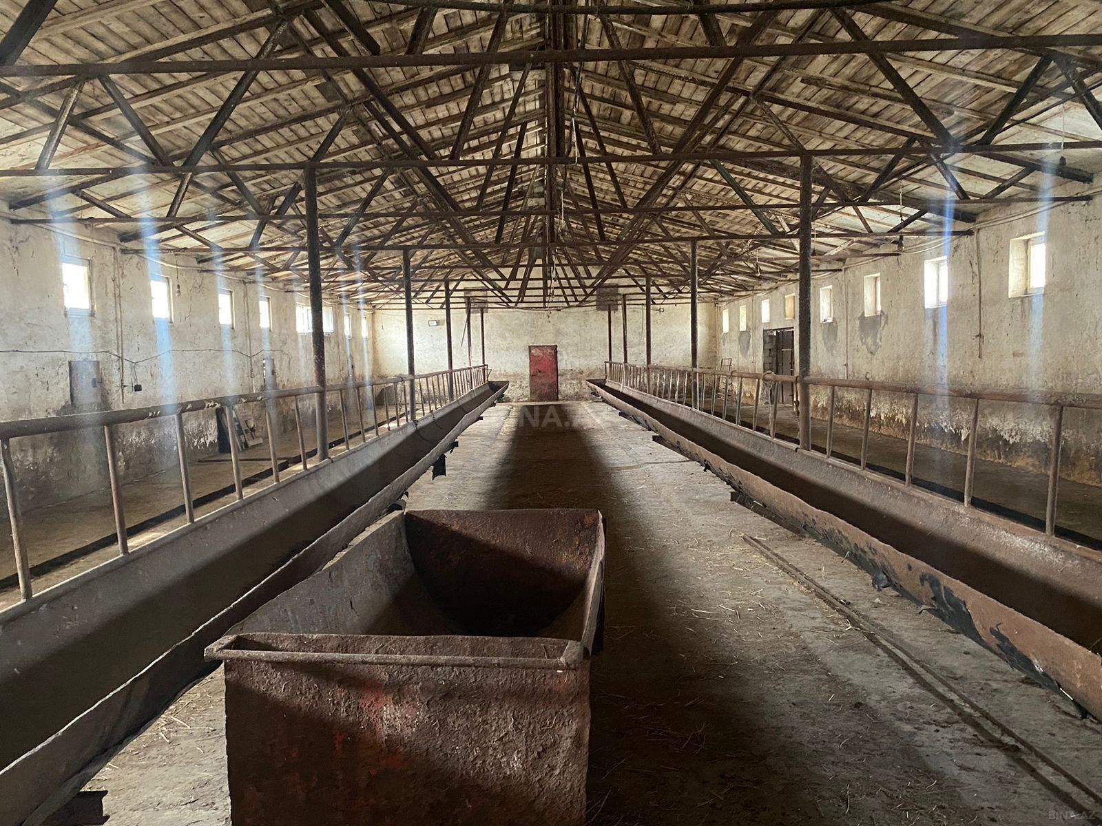 Obyekt - Pirəkəşkül q. - 3000 m² (3)