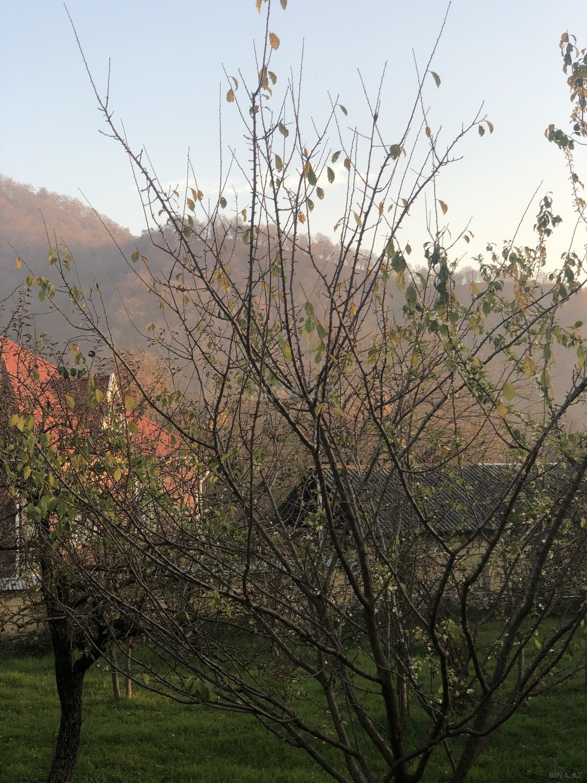 4 otaqlı həyət evi/bağ evi - Qəbələ - 130 m² (5)