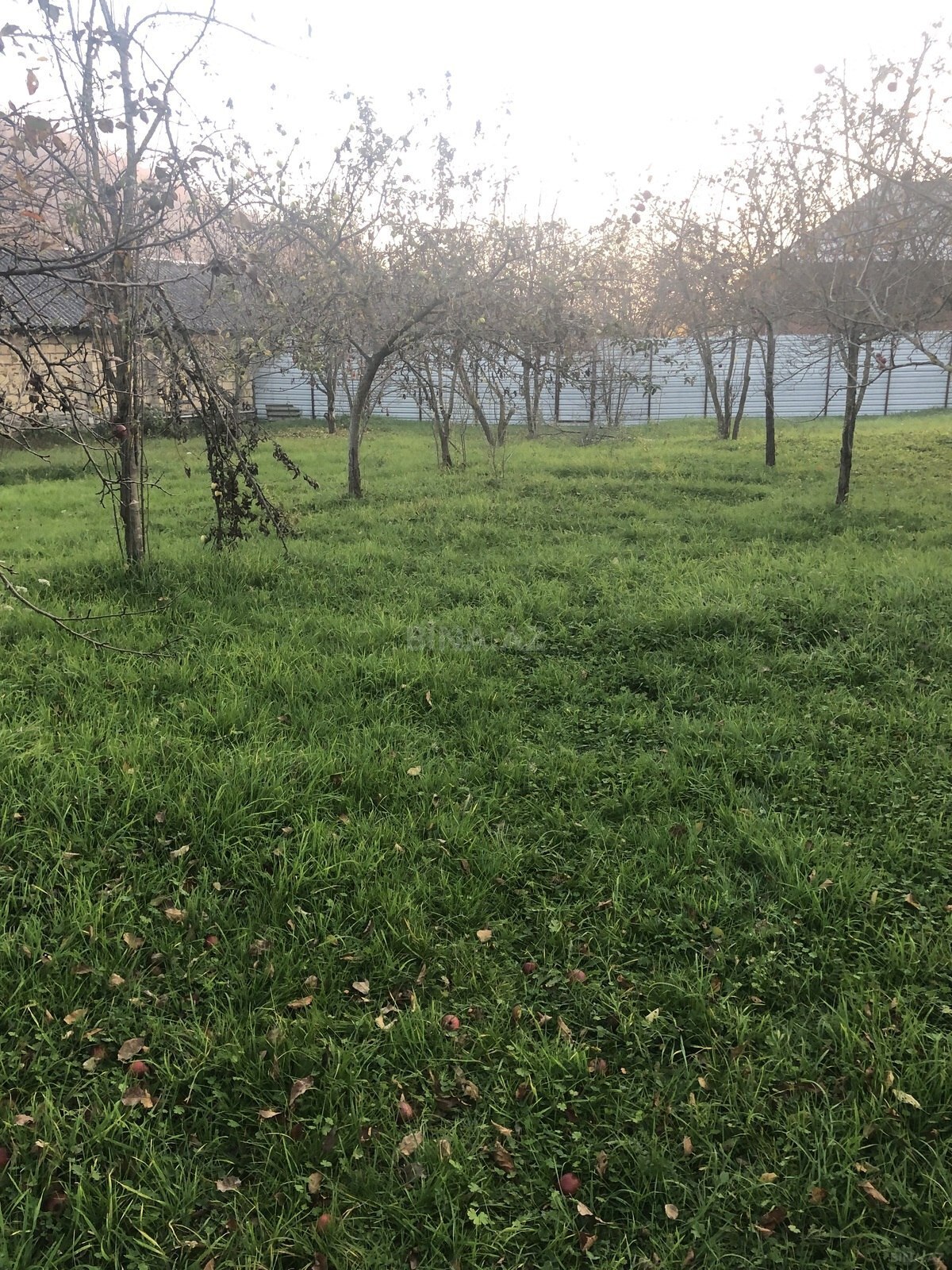 4 otaqlı həyət evi/bağ evi - Qəbələ - 130 m² (1)