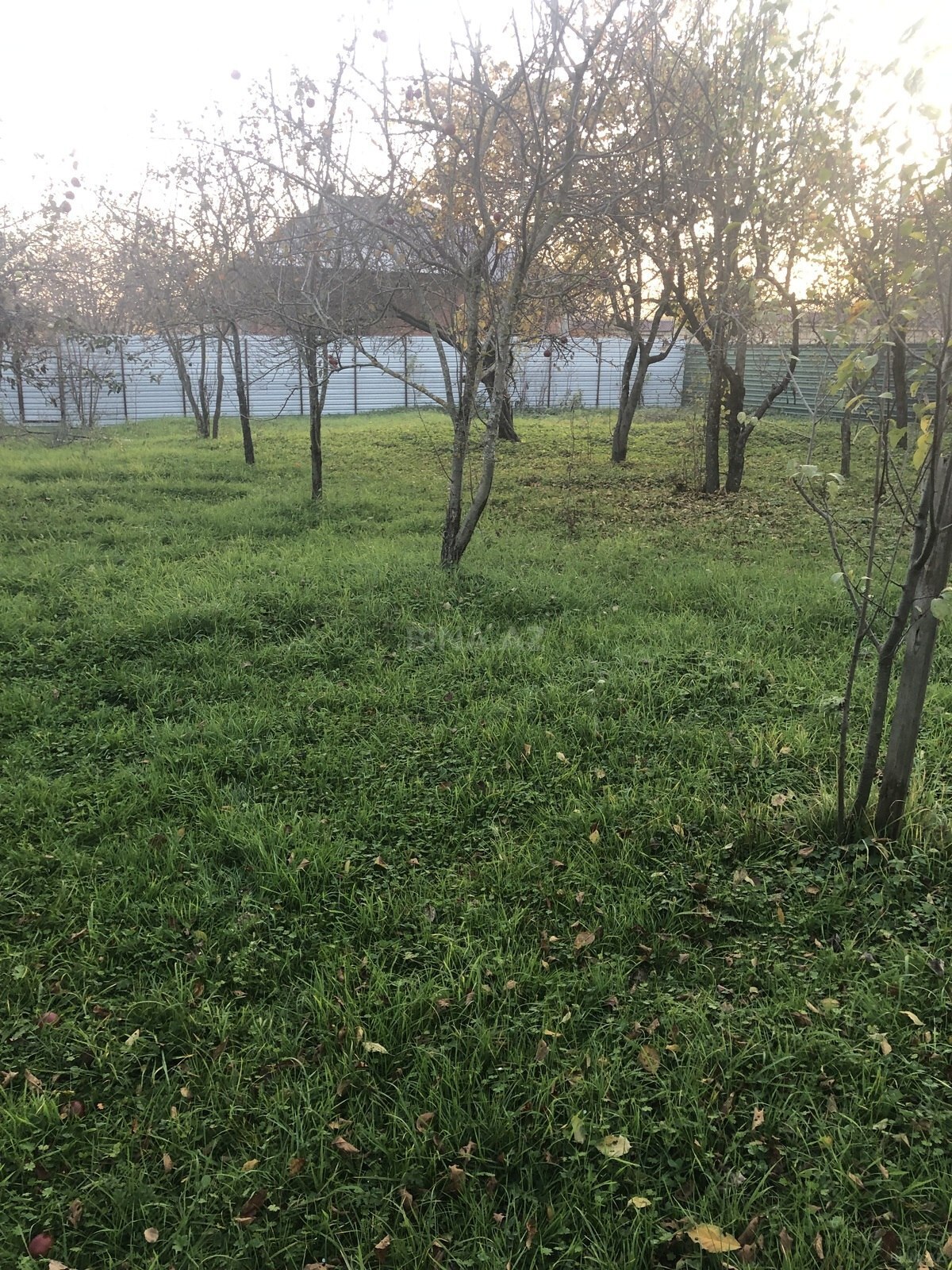 4 otaqlı həyət evi/bağ evi - Qəbələ - 130 m² (2)