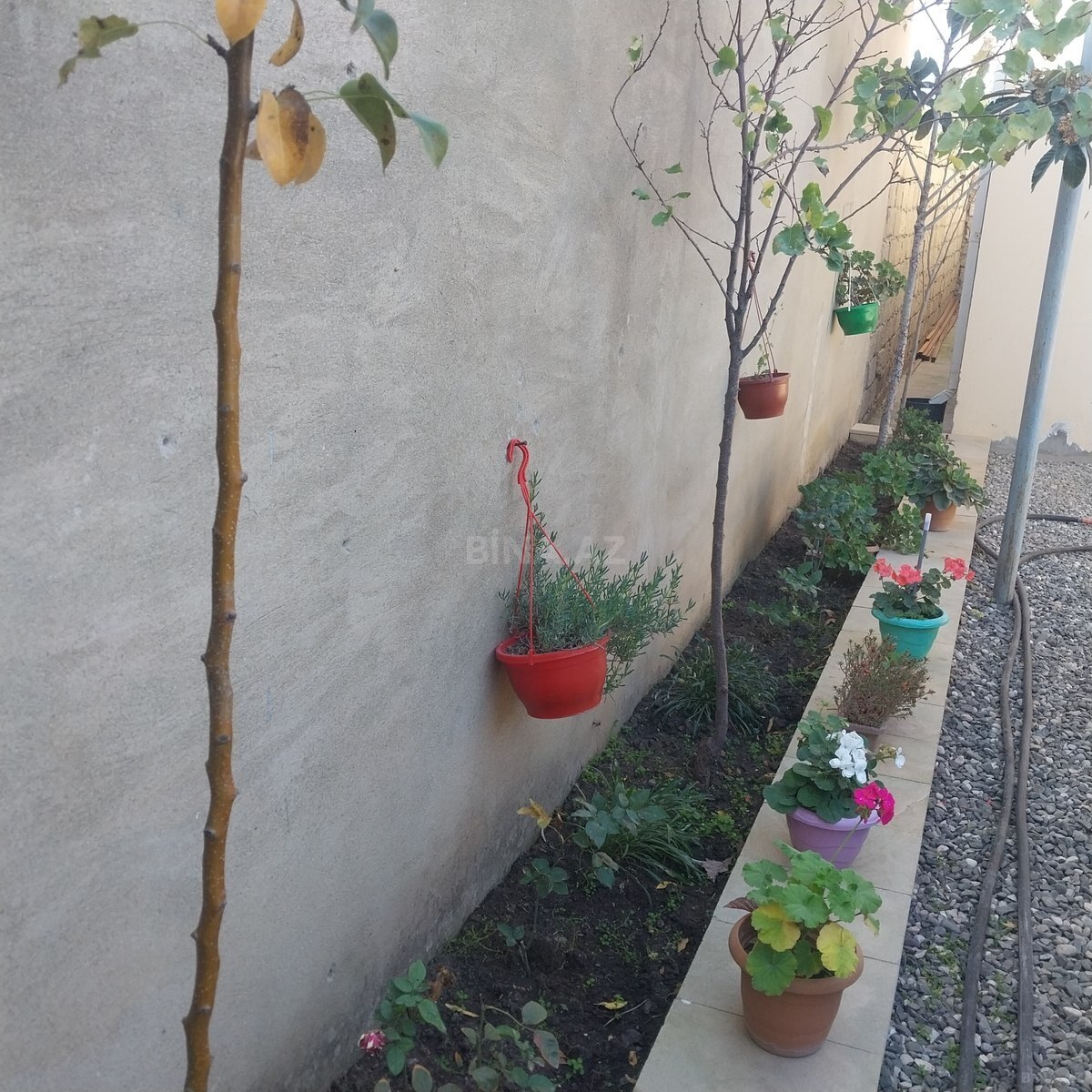 3 otaqlı həyət evi/bağ evi - Buzovna q. - 116 m² (7)