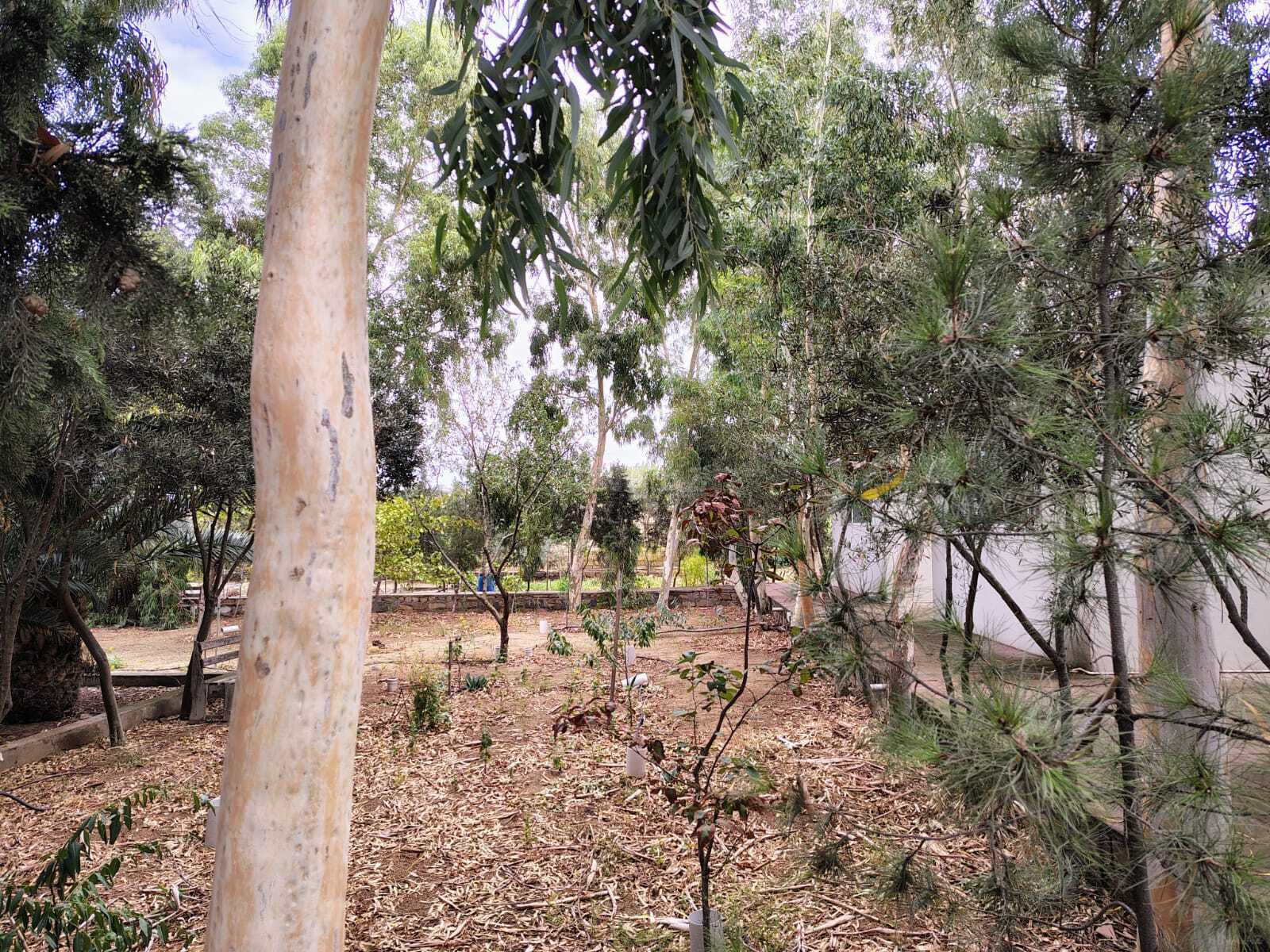 Torpaq - Nardaran q. - 44 sot (15)