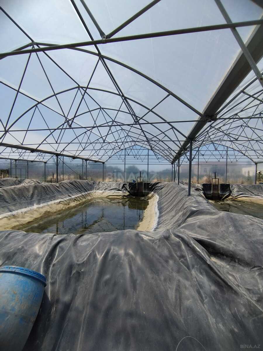 Obyekt - Türkan q. - 10000 m² (1)