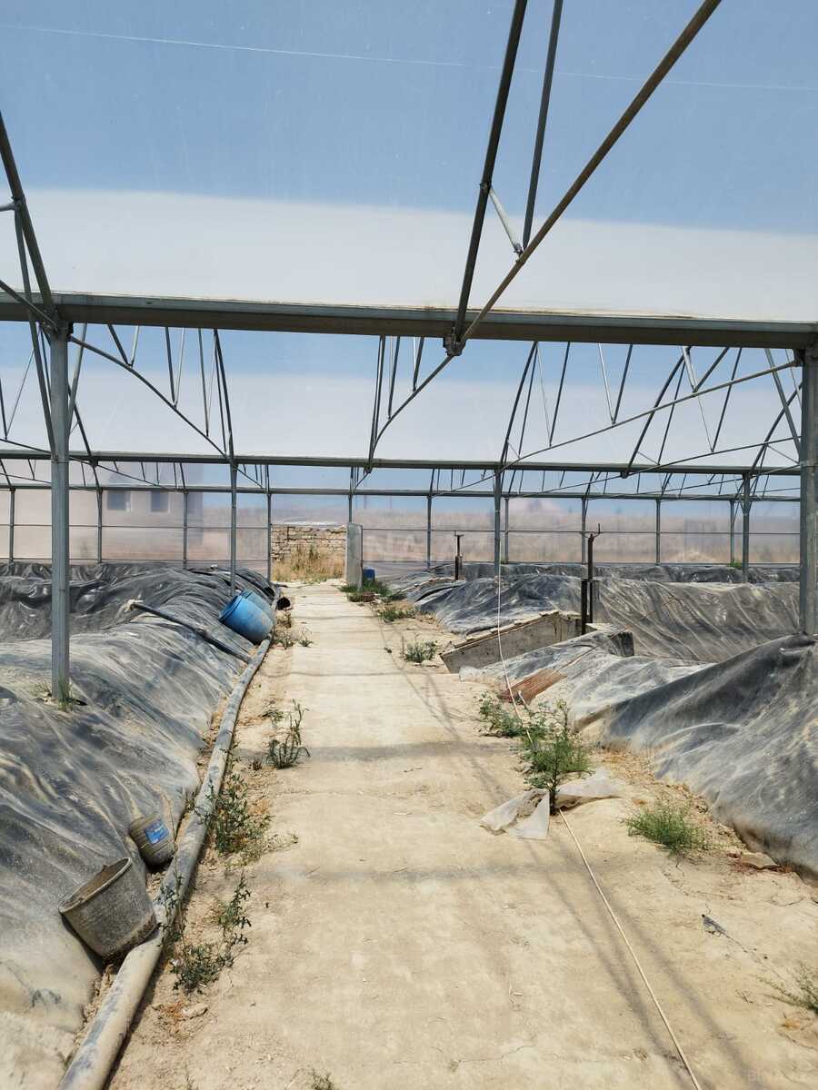 Obyekt - Türkan q. - 10000 m² (6)