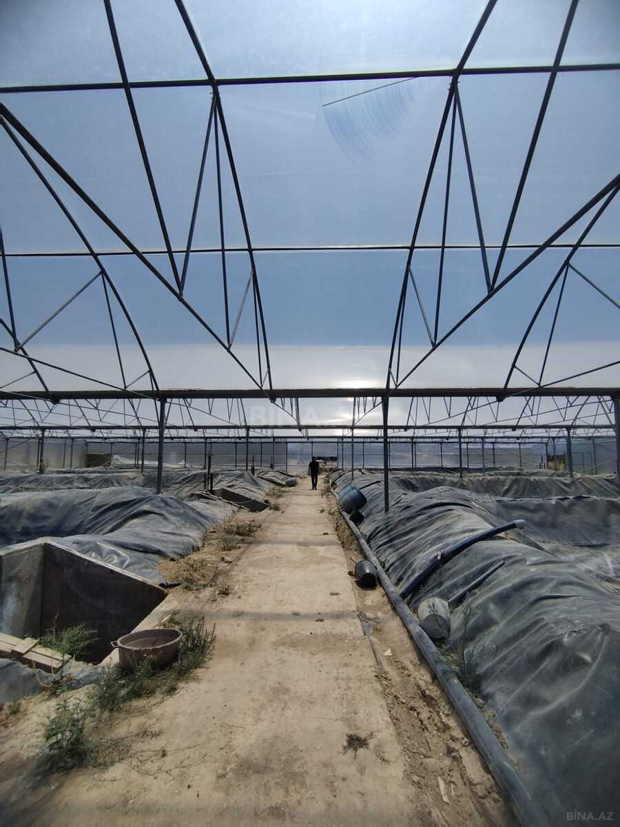 Obyekt - Türkan q. - 10000 m² (3)