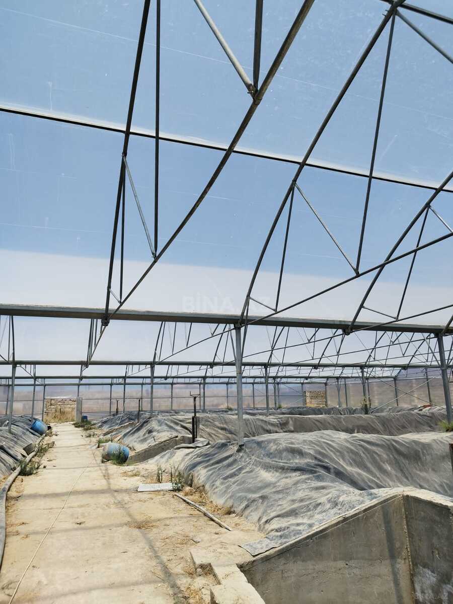 Obyekt - Türkan q. - 10000 m² (8)